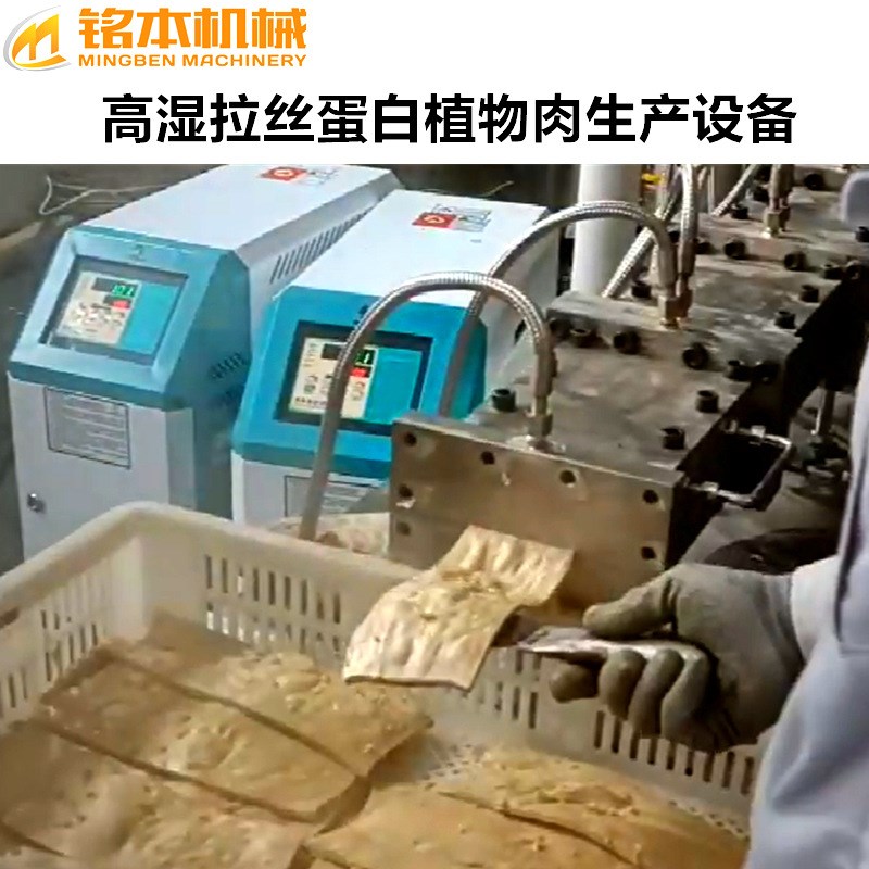 素牛肉牛排生 产加 工设备 高湿拉E丝蛋白机器生 产线 素肉饼机