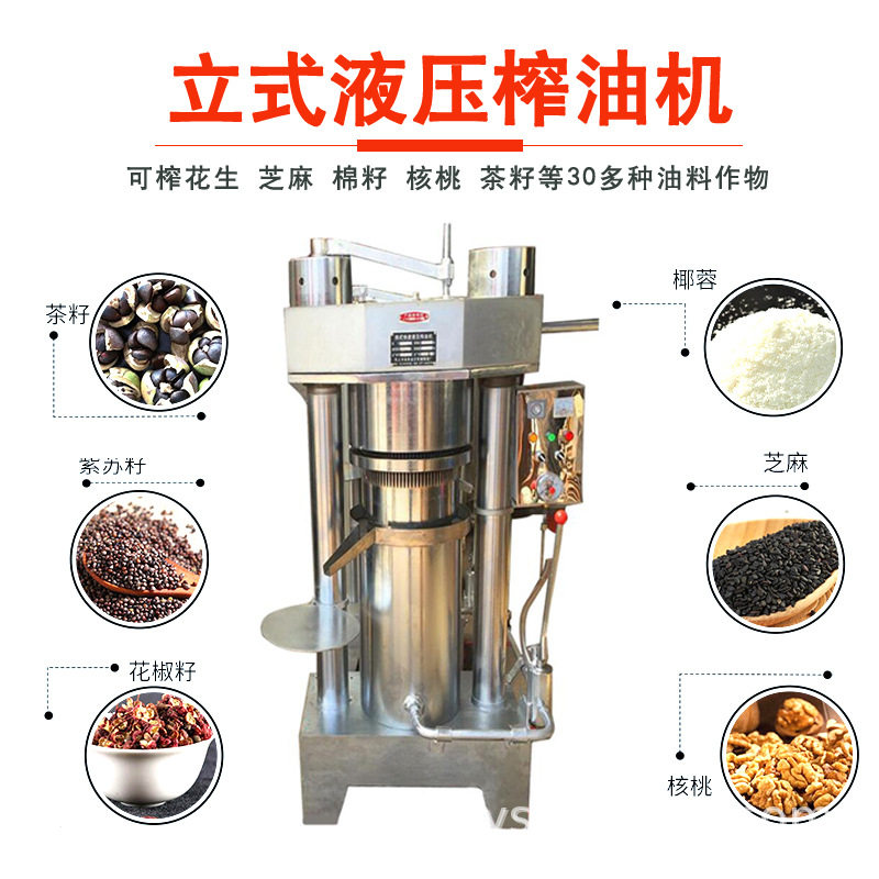 全自动商用果仁椰果榨油机