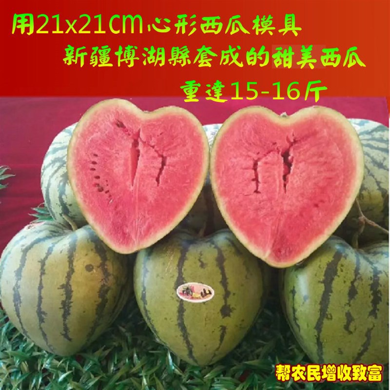 21公分双心形西瓜模具16v斤大号蔬菜瓜果定型塑料模具采摘园农家