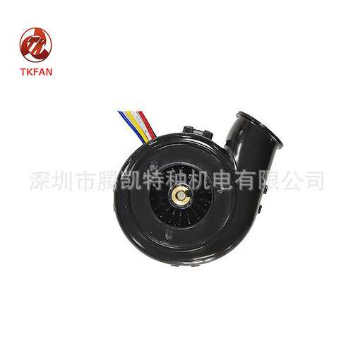 40*28mm便携式鼓风机 BA4028H12B小尺寸大功率12V24V可选