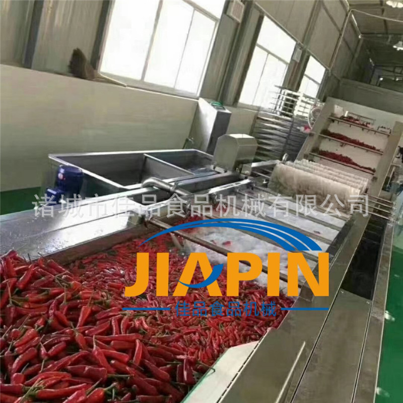 蔬菜气泡清洗机厂家流水线