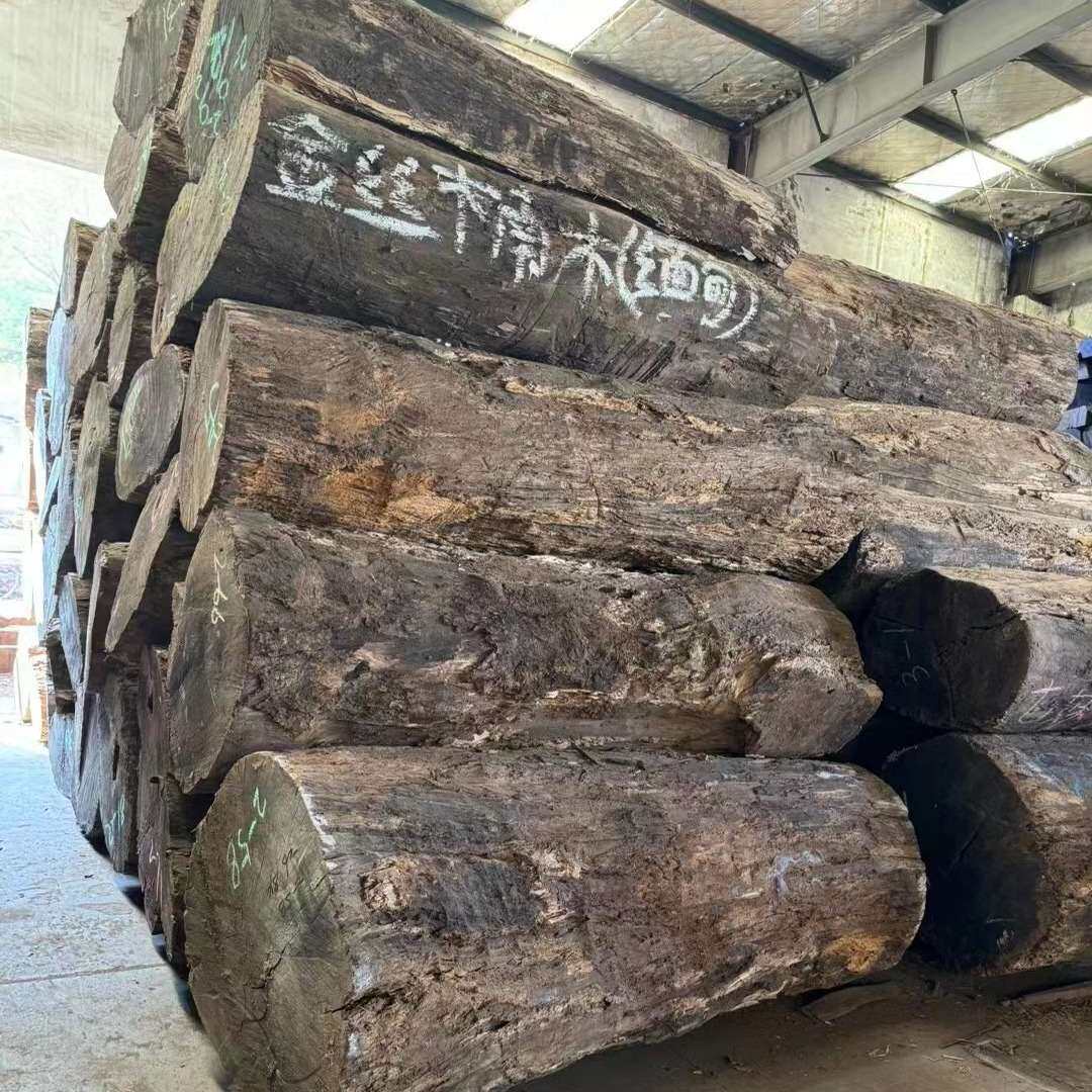 四川金丝楠木 缅甸金丝楠 黄芯楠 原木大板木料 小叶帧楠纹理美丽