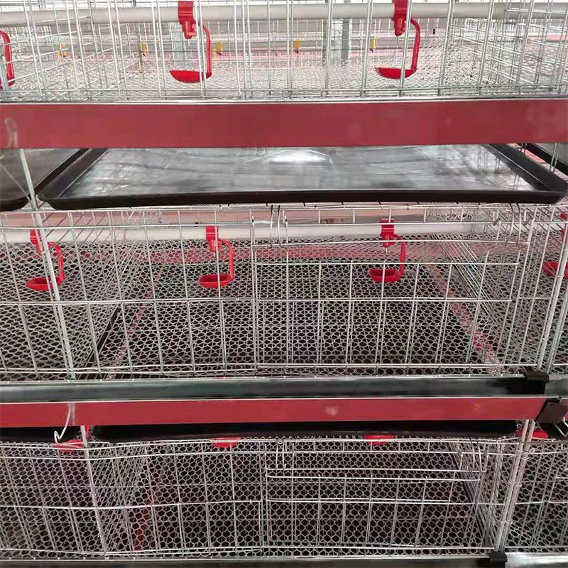 小鸡育雏笼养小鸡鸭鹅笼子养殖育雏苗H型立体式养V殖场养育雏鸡笼