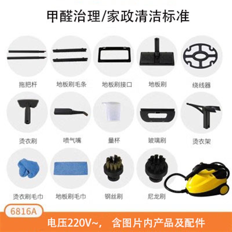 高温蒸汽机清洁熏蒸机高压清洗机家用甲醛厨房家电汽车衣改色110V