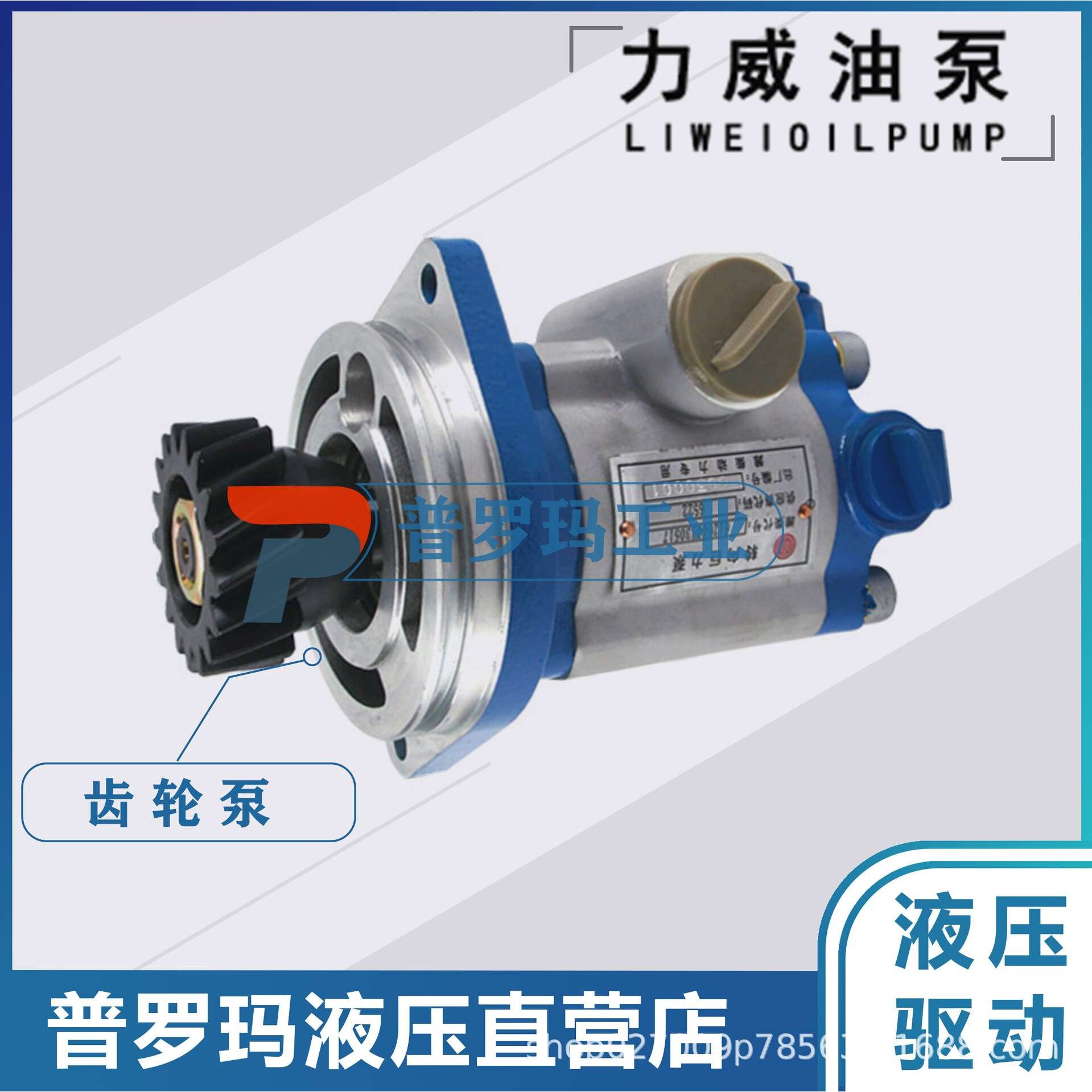 1032300027 中联重科ZOOMLION合肥力威液压助力油泵QC25/13-WP-PY