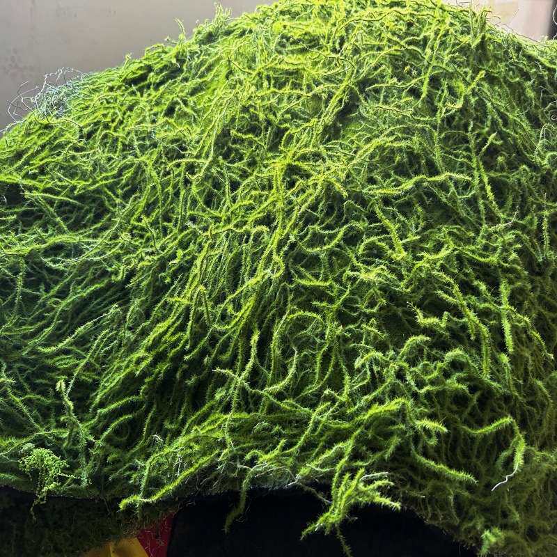 仿真干苔藓青苔羊毛藓不掉色水陆缸雨淋缸植物墙假山水苔石头垫材