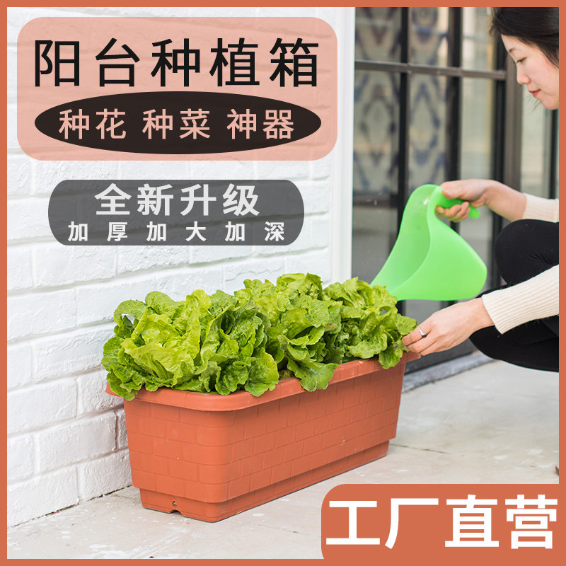 种植箱树脂多肉植物花箱塑料草莓盆栽专用盆家庭阳台种菜神器花盆