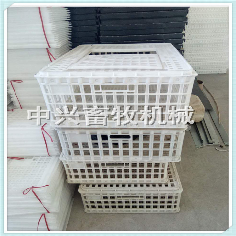 中兴养殖鸡用周转筐厂家批发