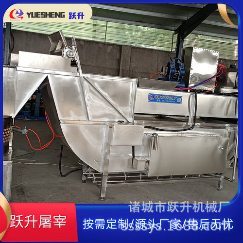 大型雏鸡脱毛流水线一体机