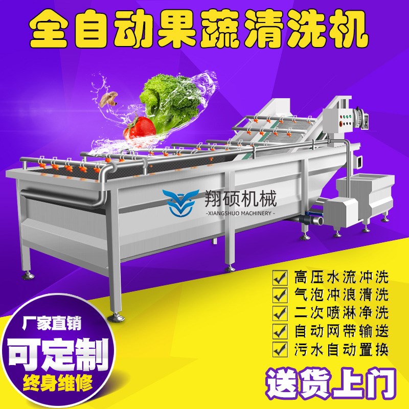 生产商用小型臭氧洗菜机豆芽菜气泡清洗机 Q全自动蔬菜清洗机