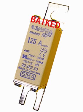 熔断器 保险丝 NH000 125A 690V 700V 200KAN 2028220 德国SIBA
