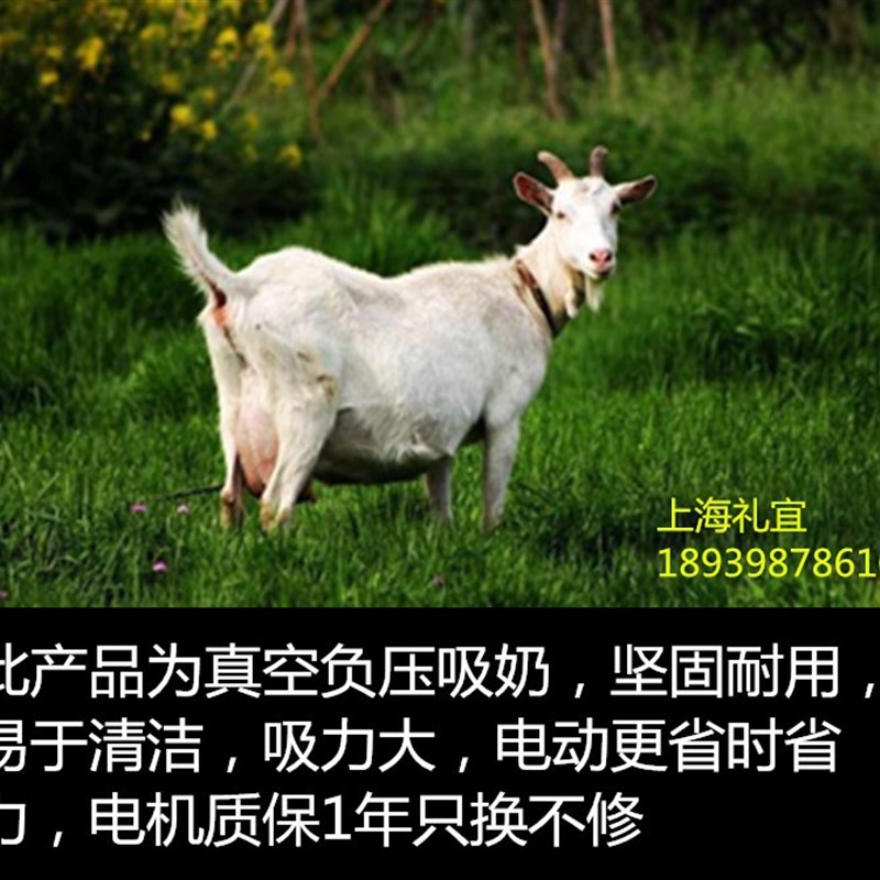 【出口】电动小h型挤羊牛奶器吸羊牛奶机器家用4斤6斤装2L/3L脉冲