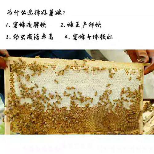 成品巢框装好巢础带巢框一体10个装中蜂巢脾蜜蜂巢础巢框蜂箱