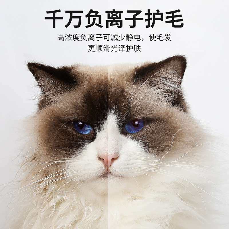 卷尾巴智能宠物烘干箱全自动猫咪烘干机家用狗狗洗澡吹风机吹水机