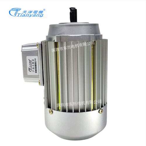 TIANYANG天洋电机YS5612 0.09KW 立式转数2800RPM 3~AS.MOTOR马达