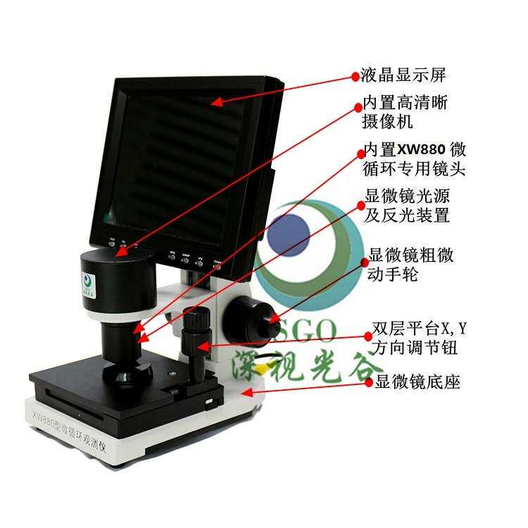 厂家直供 高清微循环观测仪XW880 专业检测甲壁血流 无创伤检测