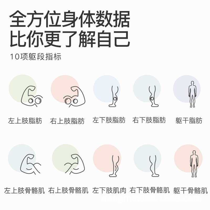 东美智能体脂秤精准家用人体秤电子称专业测脂肪体质体重称连手机