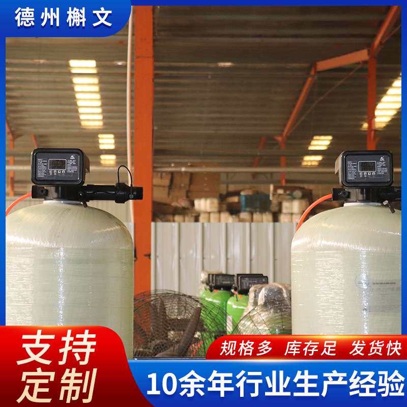 全自动软水器去离子交换水质软化过滤器地下水锅炉除水垢软水设备