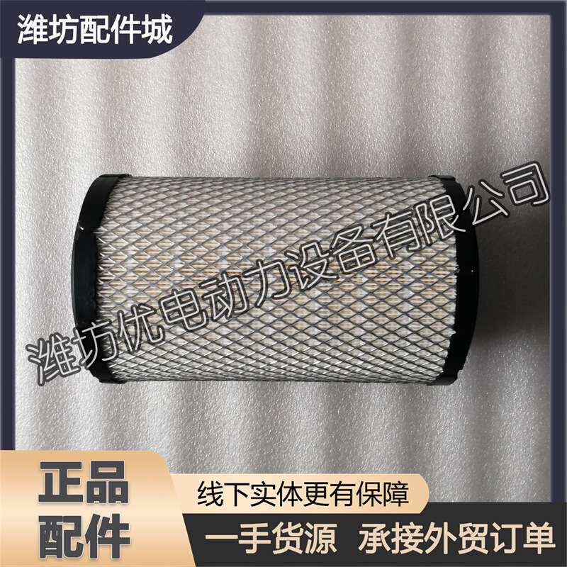 扬州潍柴锐动力柴油发动机发电机组空滤芯1000054217空气滤清器