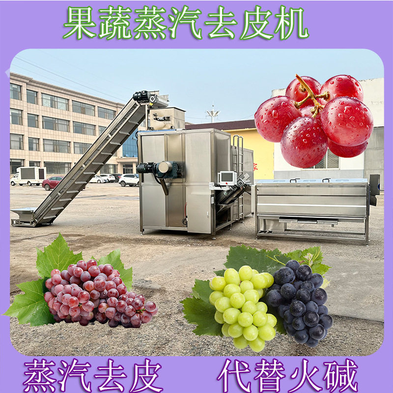 隆坤果蔬全自动蒸汽去皮机