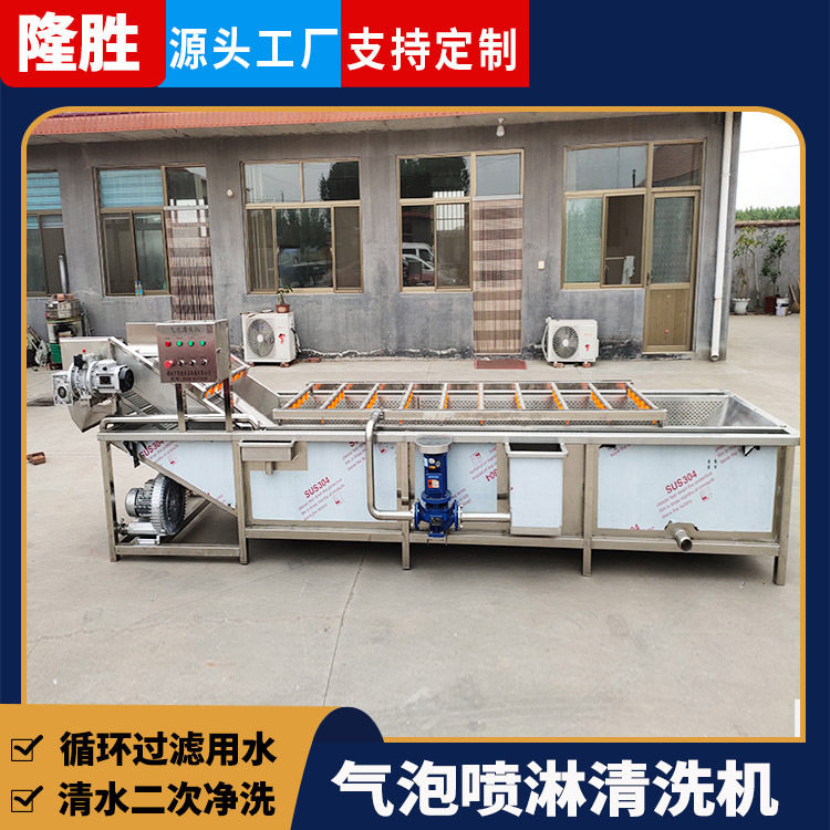 全自动不锈钢气泡清洗机 大型蔬菜清洗设备 果蔬高压喷淋式清洗机