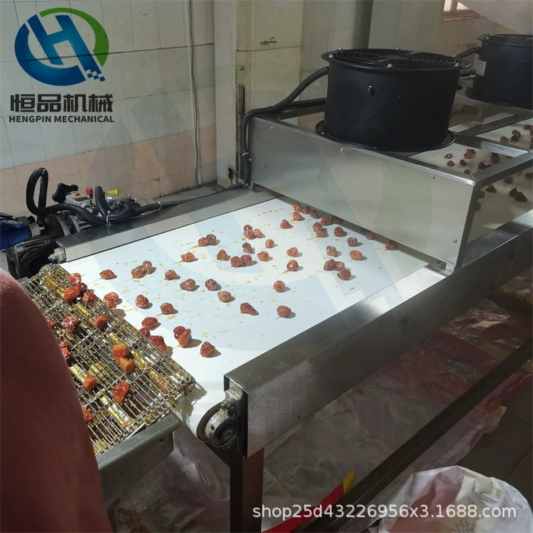 全自动冻干山楂裹糖上糖机
