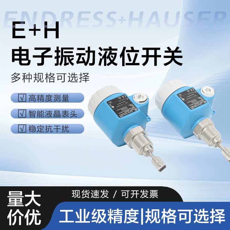 E+H 音叉液位开关固体智能抗干扰振动液位计恩德斯豪斯进口