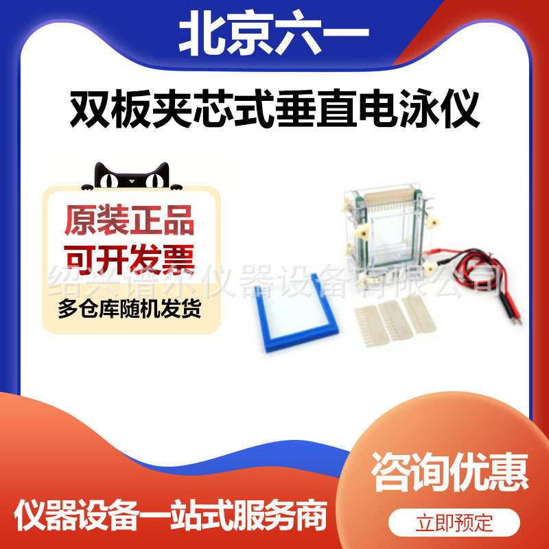 北京六一DYCZ-28A型单板夹芯式垂直电泳仪(小号)