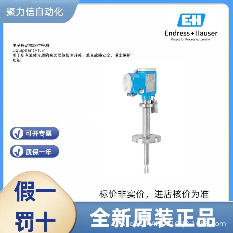 E+H音叉液位开关压力变送器