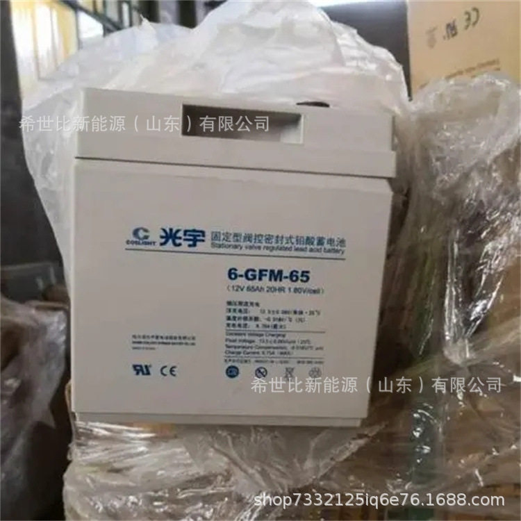光宇蓄电池6-GFM-65轨风力发电储能12V65AH地铁控制室/铁路信号