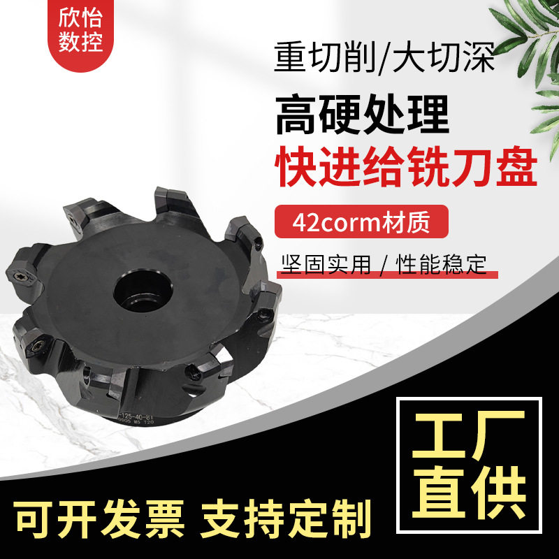 PD09-125-40-8T快进给铣刀盘
