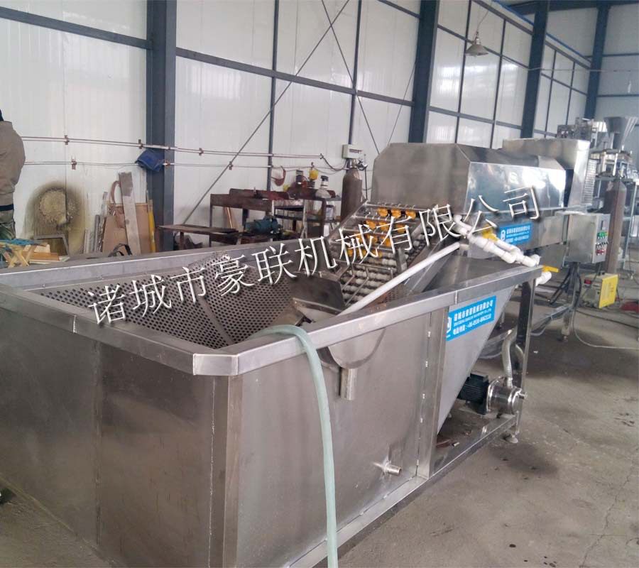 全自动鸭蛋毛刷清洗机