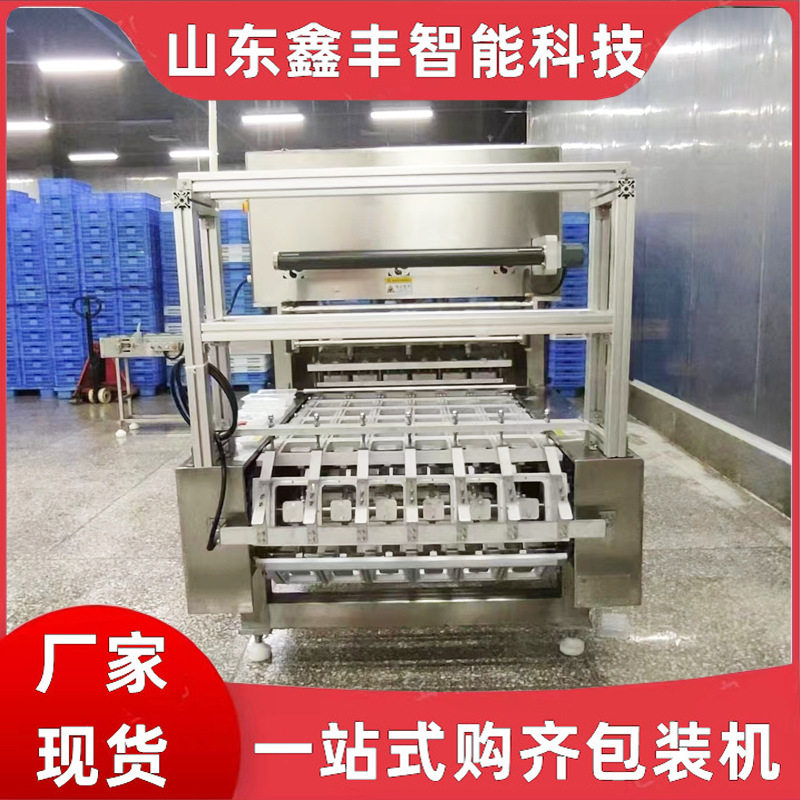气调锁鲜保鲜真空包装机