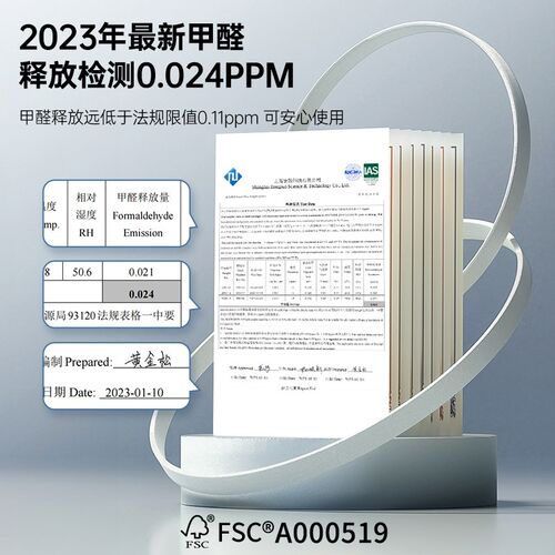 Joywborker电动升降桌电脑办公桌家用学习升降书桌站立工作台移动