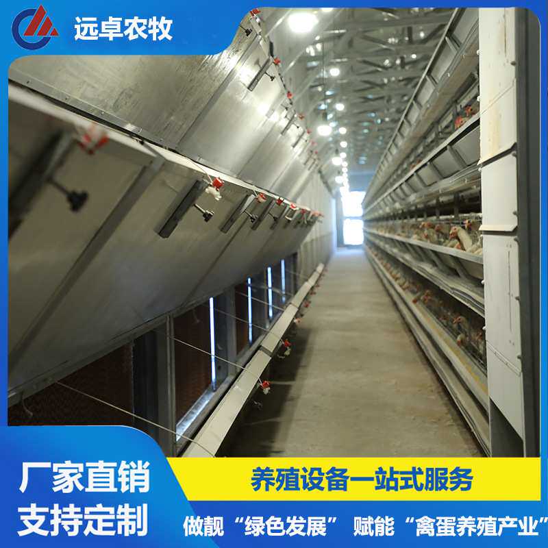 H型框架蛋鸭养殖设备厂 江西吉安四层叠蛋鸭养殖 立式自动捡蛋机