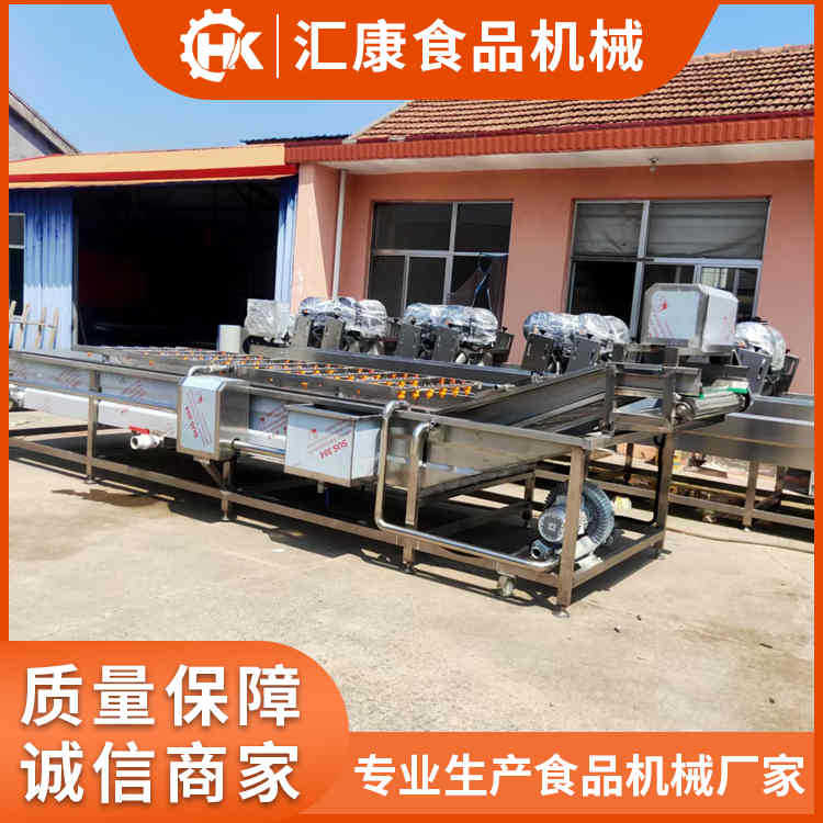 高压喷淋式果蔬清洗机 大型商用翻浪果蔬气泡清洗机 全自动洗菜机