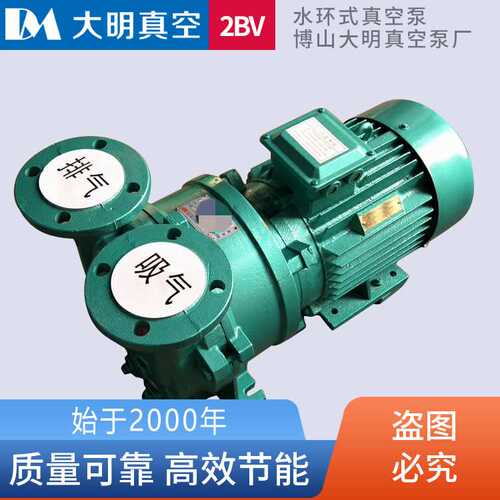 2BV5110.2BV5111.2BV5121.2BV5131.2BV5161水环式真空泵