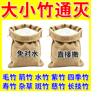 【强效打竹粉】直接撒强力渗透粉打竹子专用连根清竹草通灭