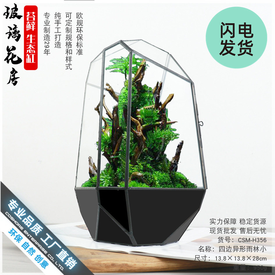 雨林生态缸苔藓微缩景观几何玻璃小花房创意家居软装摆件造景花盆