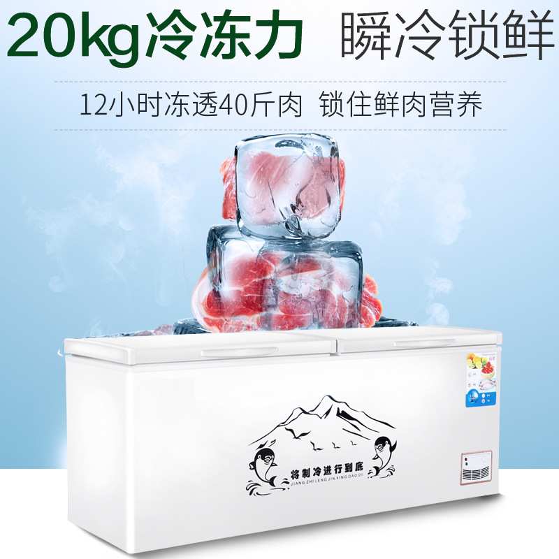直销铜管冰柜超大商用卧式大容量冷藏冻冻肉专用冰柜雪糕柜