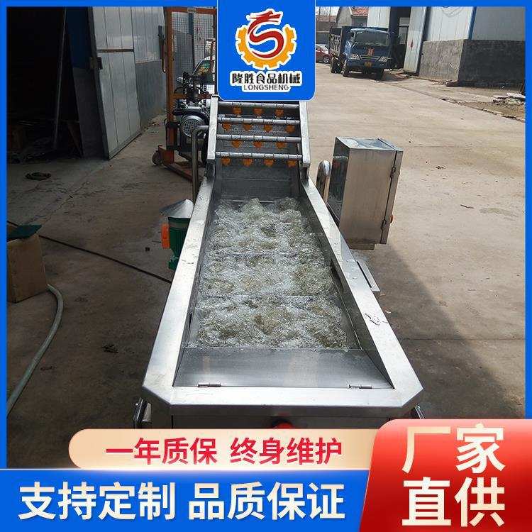 隆胜红枣清洗机 鼓泡式蔬菜清洗机 果蔬深加工清洗烘干流水线设备