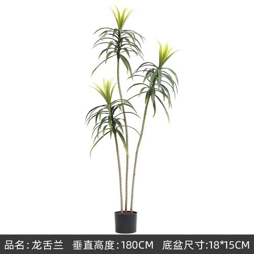 大型仿真龙血树i盆栽景服装店室内客厅落地龙舌兰假树植物盆栽摆