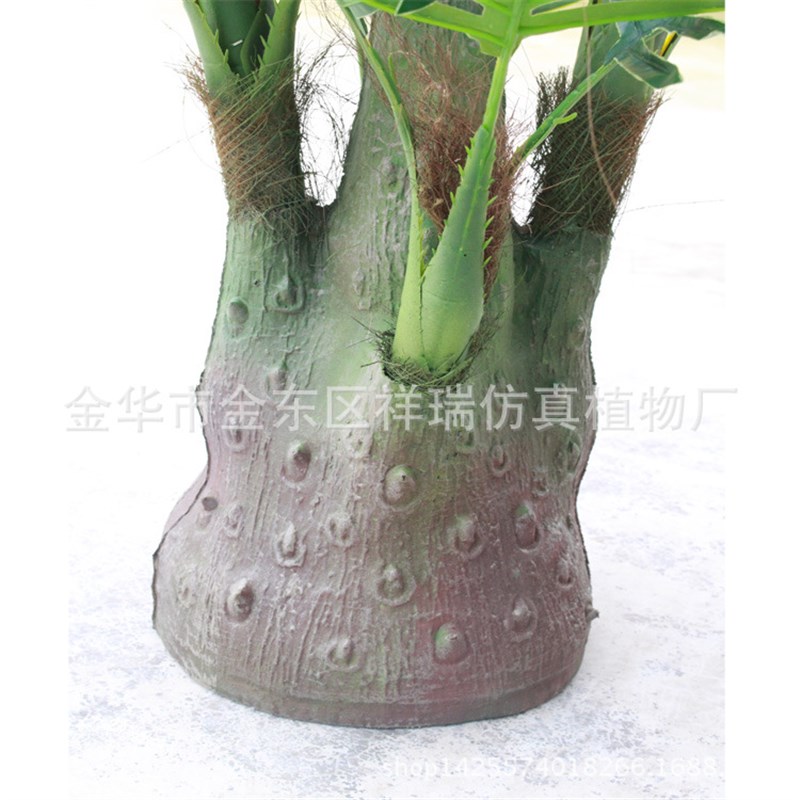 仿真植物五头小葵叶树过胶棕榈科葵叶细葵叶羽毛葵落地盆景