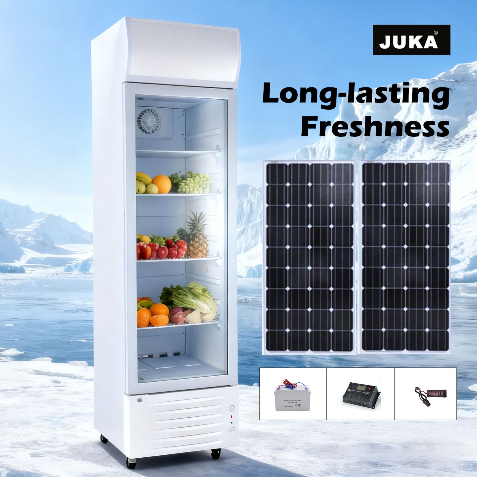 太阳能直立式冷藏冰柜直流电12v24v商用家用展示柜出口批发外贸