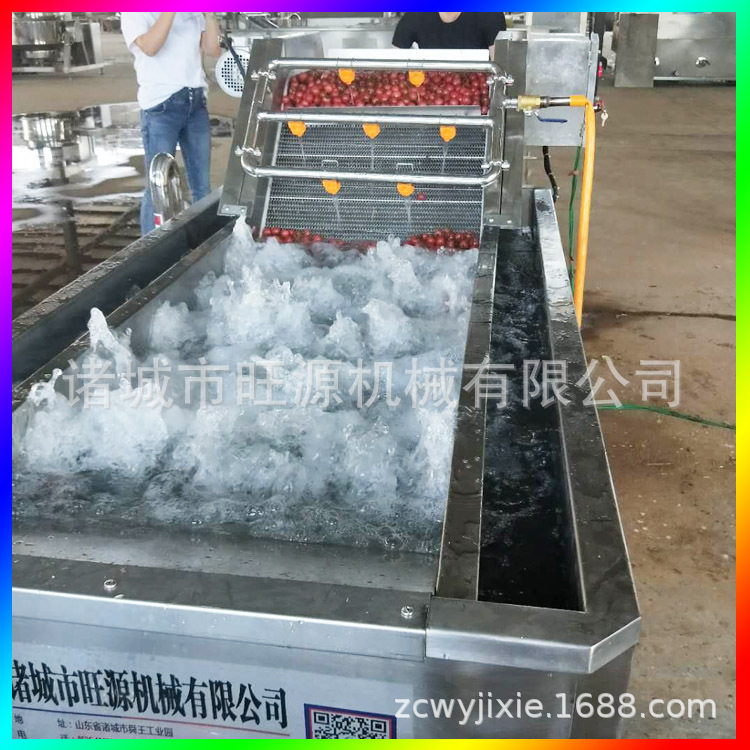 菠菜辣椒气泡清洗流水线厂家