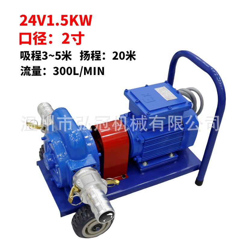 电动抽油泵12gv24v220v防爆导油卸油泵大流量柴油汽油油罐车抽油