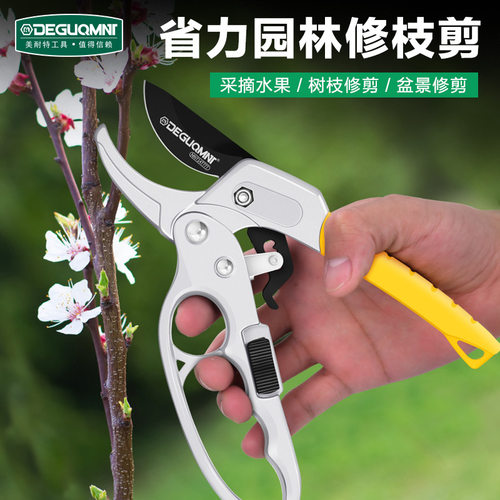 花艺剪刀园艺剪花卉剪枝家用修花剪强力果树修枝剪省力园林剪摘果