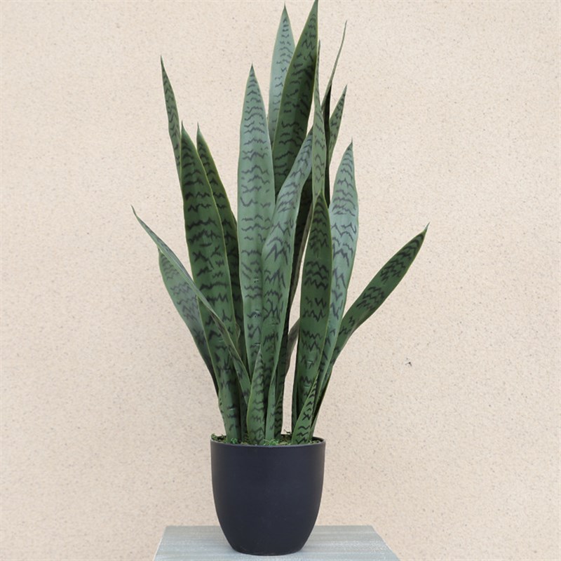 仿真绿植虎皮兰 黄边盆栽人造假植物软质pvc室内 仿真虎尾兰