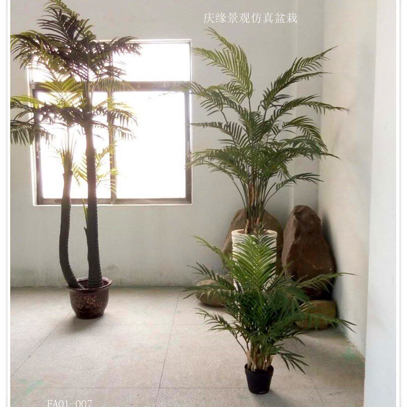 仿真美丽针葵 仿真凤尾葵 假葵叶 美丽针葵 凤尾竹仿真草针葵盆栽