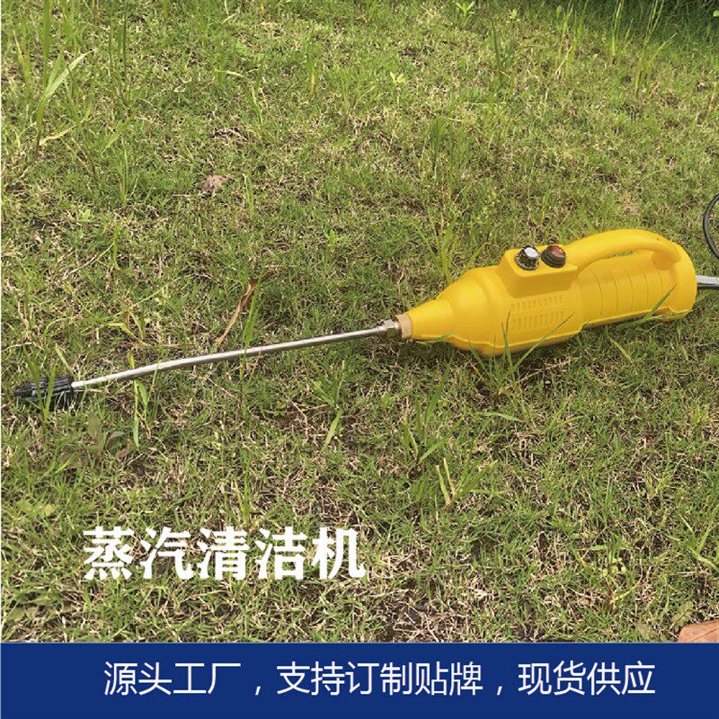 即热式高压蒸汽清洁机清洗机家用手持式清洗机智能迷你家用